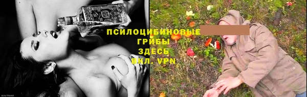 сатива Беломорск