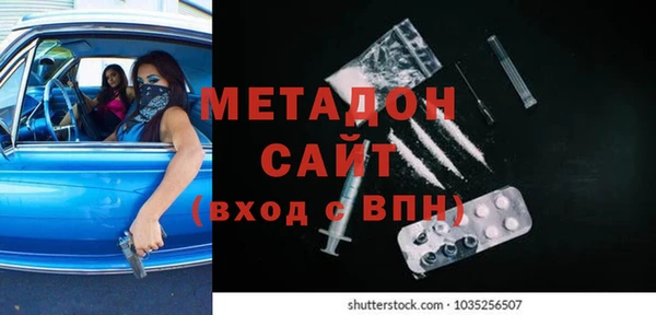 сатива Беломорск