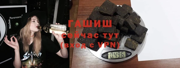 сатива Беломорск