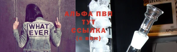сатива Беломорск