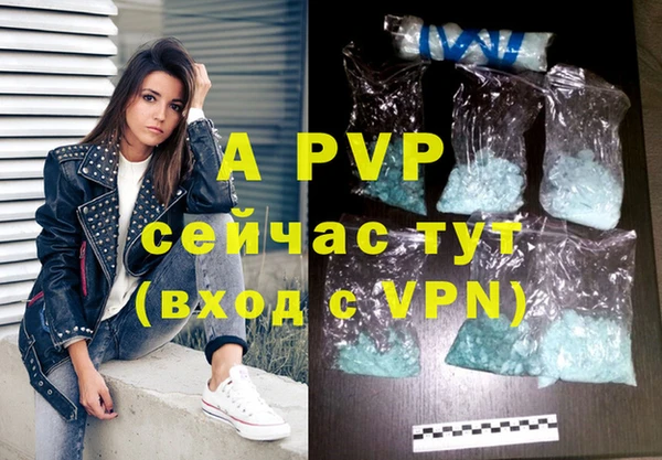 сатива Беломорск