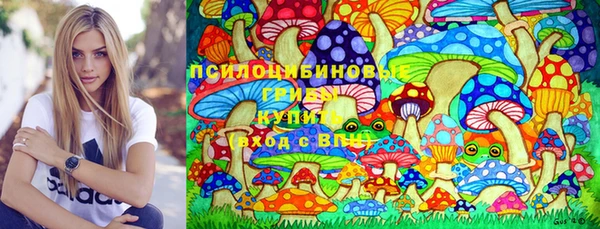 сатива Беломорск