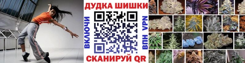 Канабис сатива  Хадыженск 